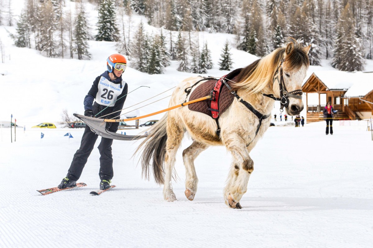 Découvrez le ski-joering à Ceillac