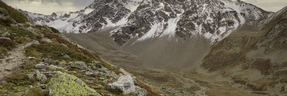 Forêt alpine et prairies verdoyantes dans la vallée du Queyras.
