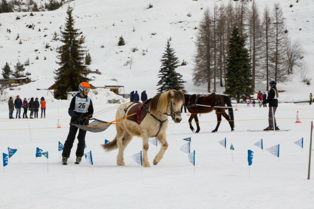 Championnat de France de ski-joering