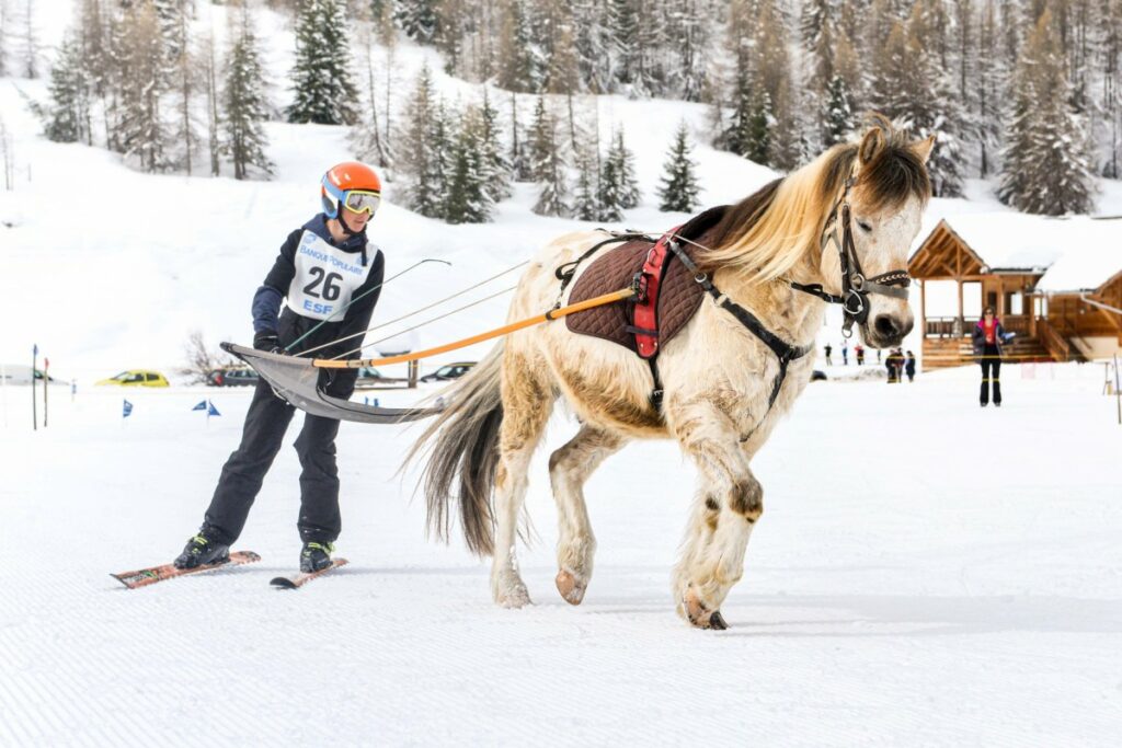 Découvrez le ski-joering à Ceillac