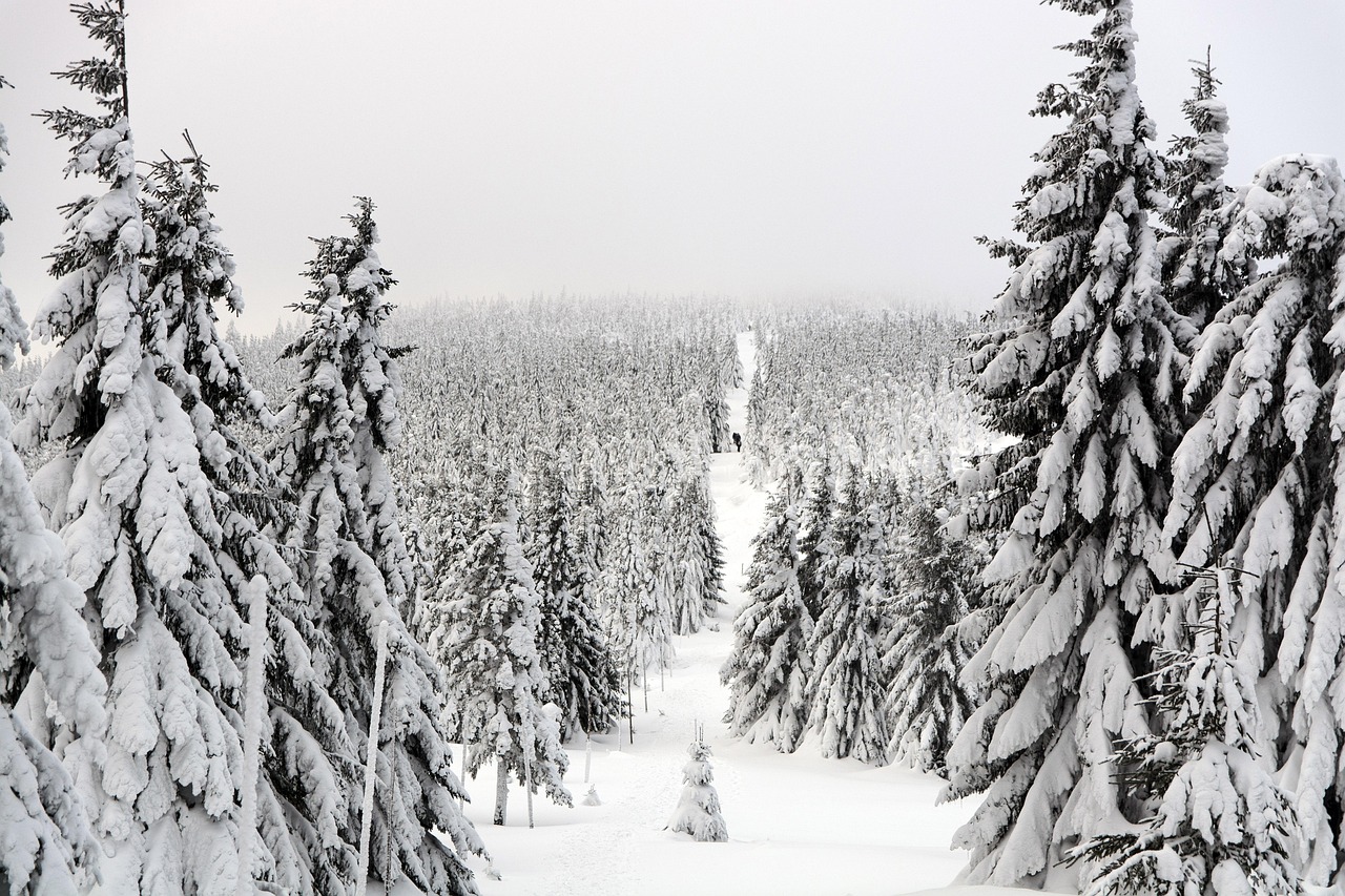 Montagnes et vallée du Queyras recouvertes de neige sous un ciel bleu d’hiver.