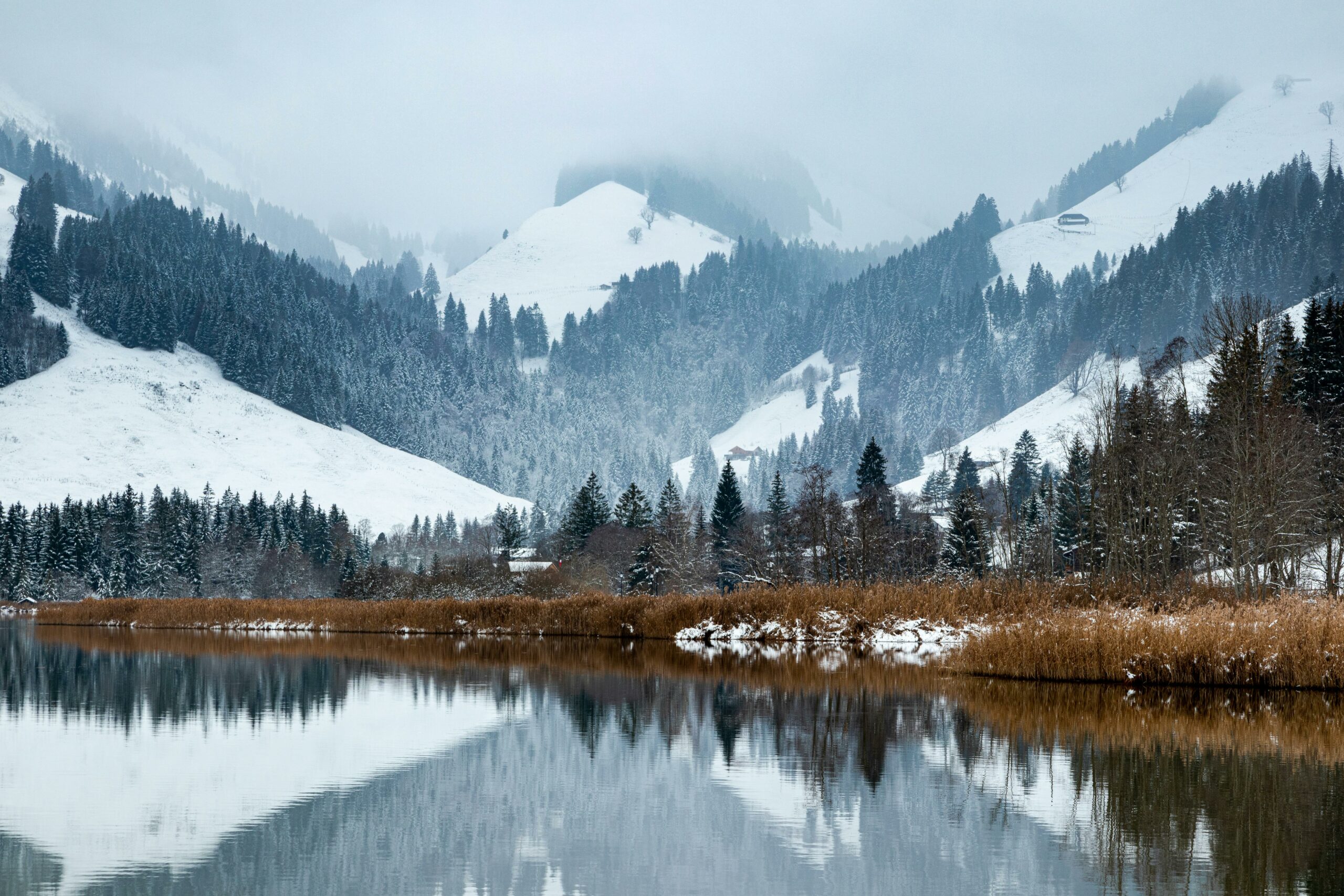 Location alpes séjour au ski dans le Queyras avec lac gelé, forêt de mélèzes et montagnes enneigées