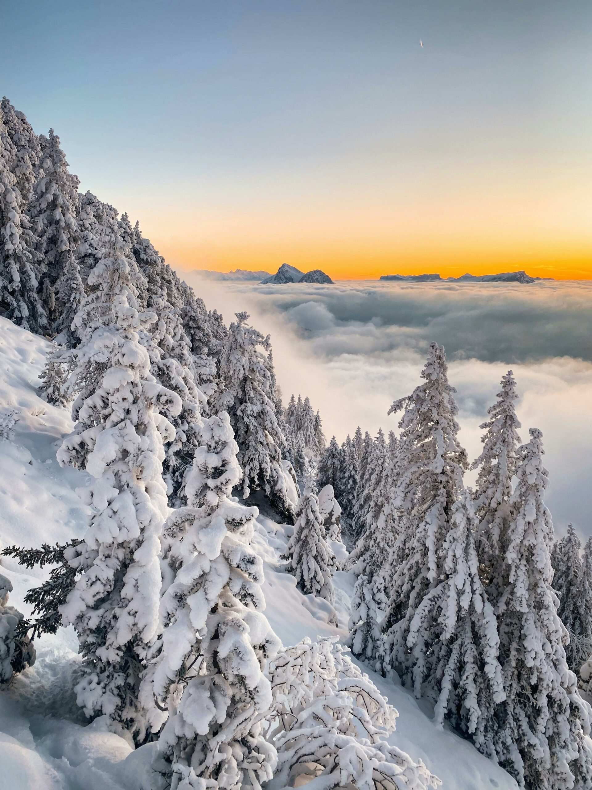 Forêt enneigée des Alpes au coucher du soleil pour un week-end romantique en location alpine