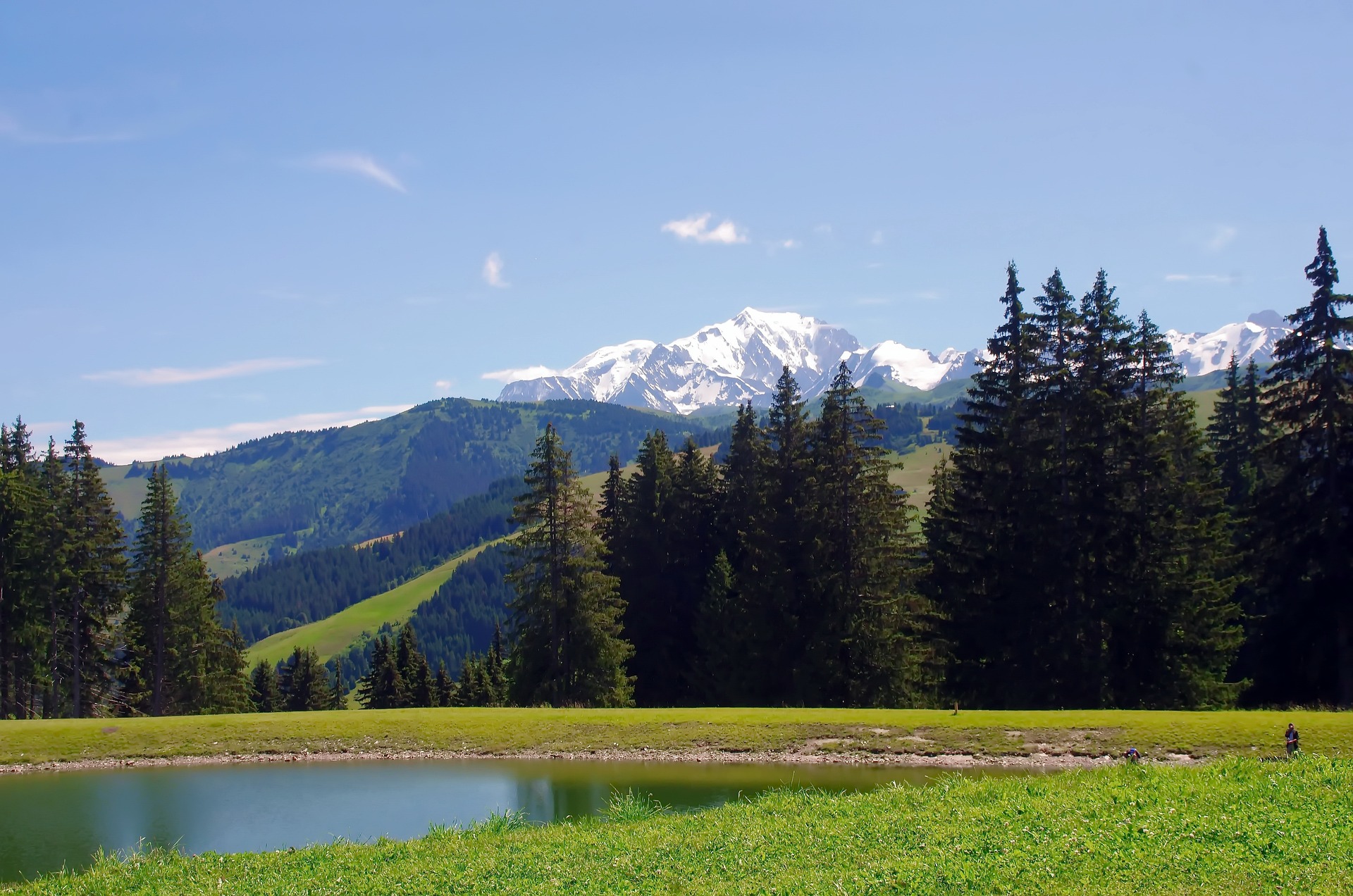 forêt montagne sommet enneigé paysage alpes