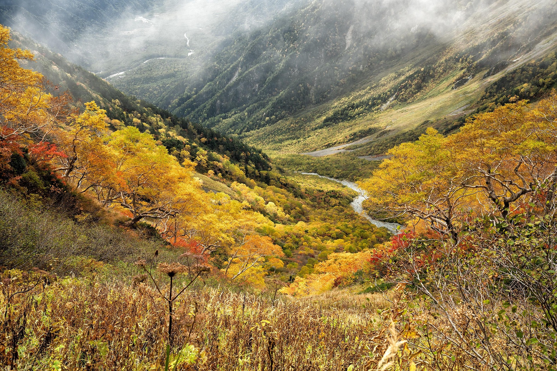 Vallée de montagne dans les Hautes-Alpes en automne avec couleurs jaunes et rouges