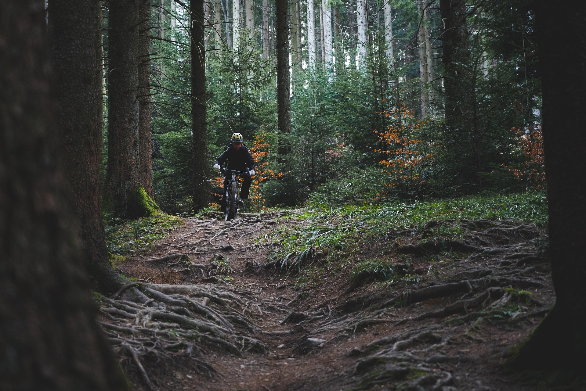 Cycliste en fat bike sur un sentier forestier dans le Queyras au cœur des Hautes-Alpes